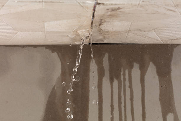 Professional Water Extraction technician working in Montague, NJ